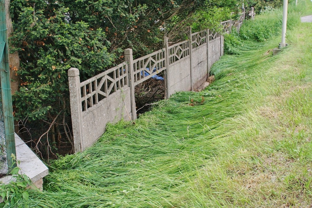 Les herbes couchées par le passage de l'eau