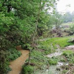 Le ruisseau de Voirincourt