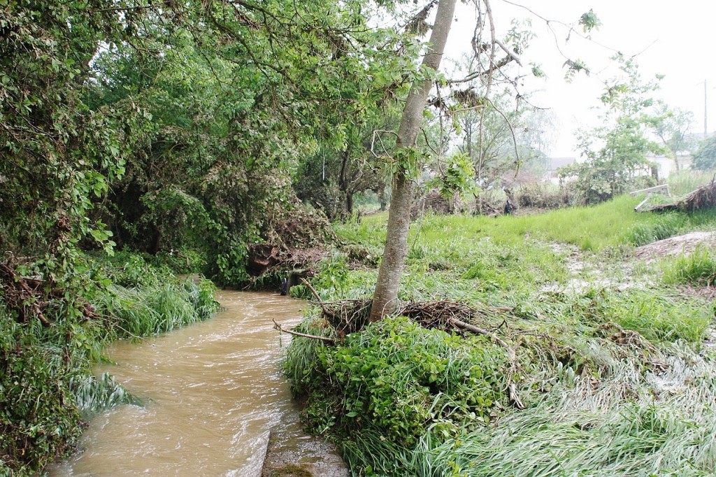 Le ruisseau de Voirincourt