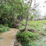 Le ruisseau de Voirincourt