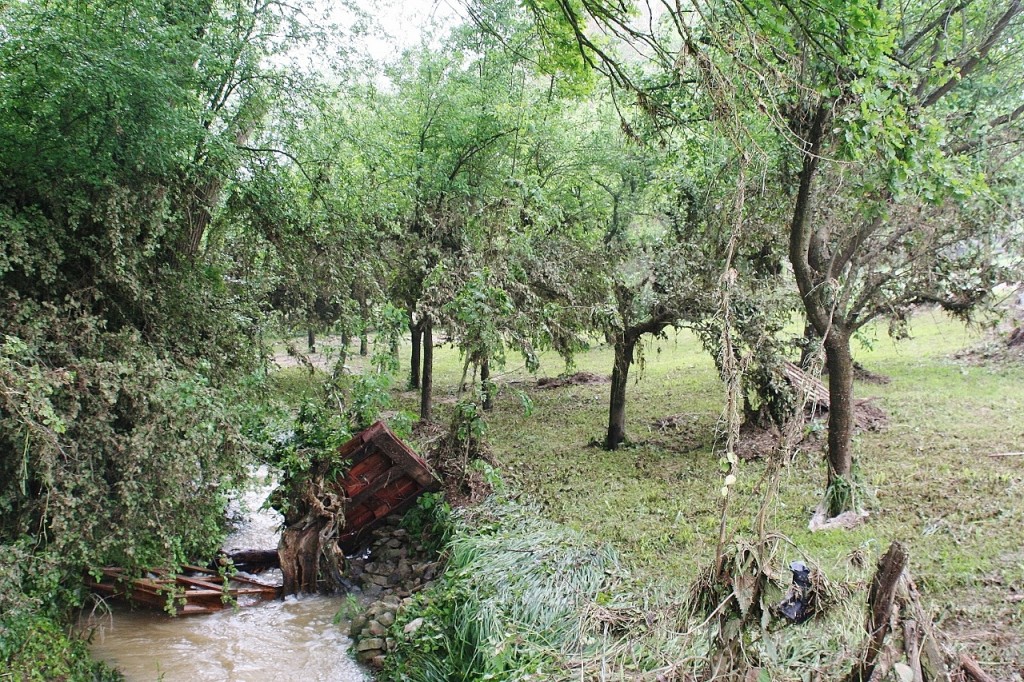 Le ruisseau de Voirincourt